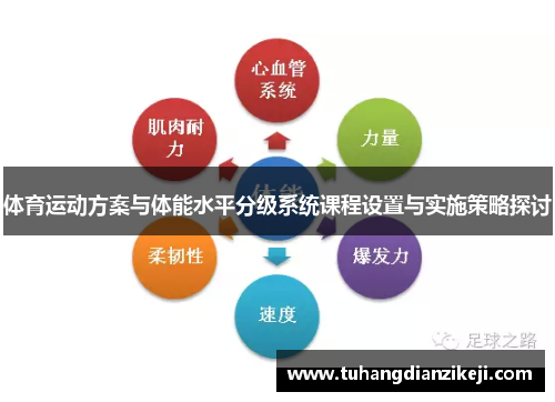 体育运动方案与体能水平分级系统课程设置与实施策略探讨