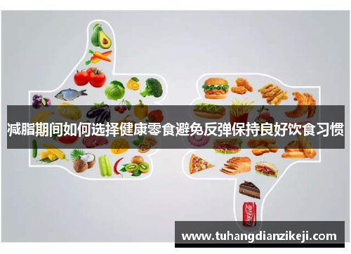 减脂期间如何选择健康零食避免反弹保持良好饮食习惯