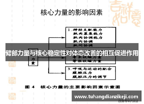 臂部力量与核心稳定性对体态改善的相互促进作用